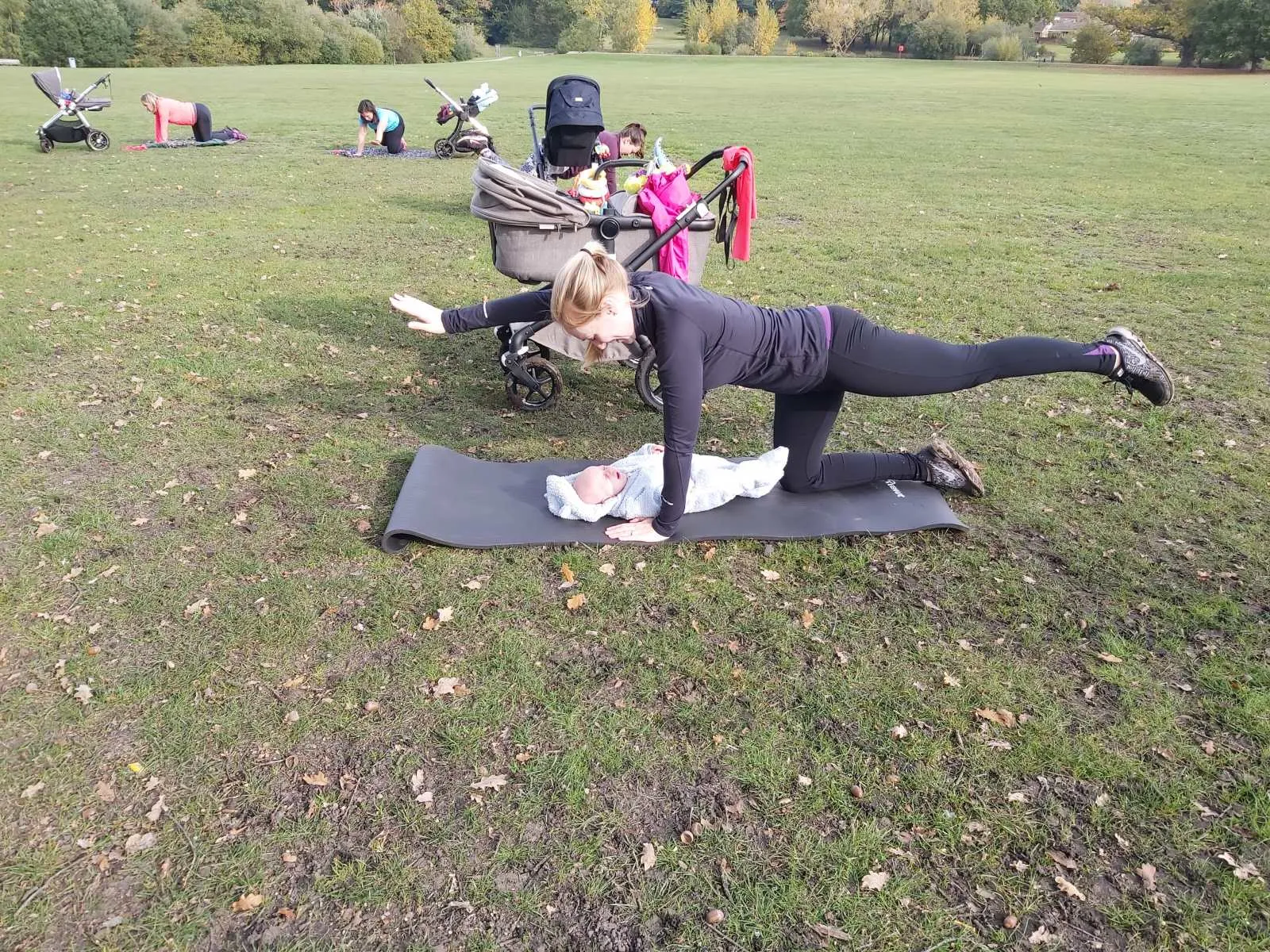 Outdoor small group training session on the grass in a Bracknell park, Willing Spirit Exercise